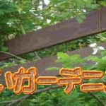 あいあいガーデニング