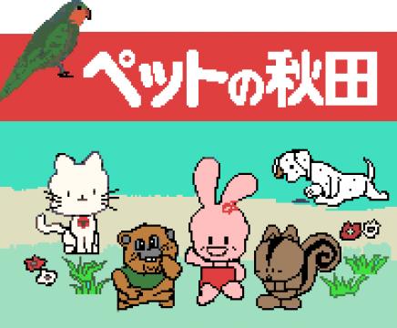 ペットの秋田